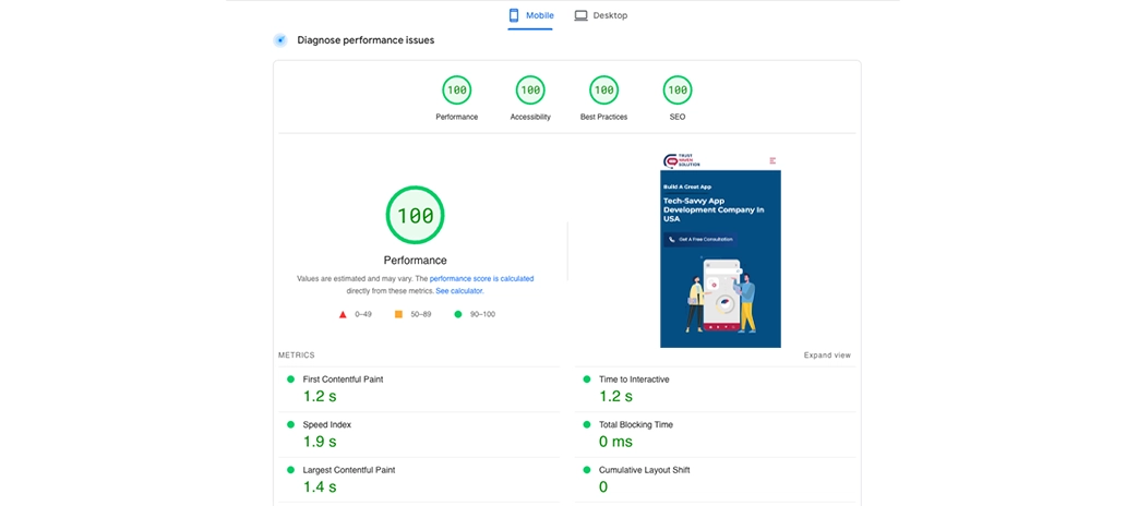 Google PageSpeed Insights